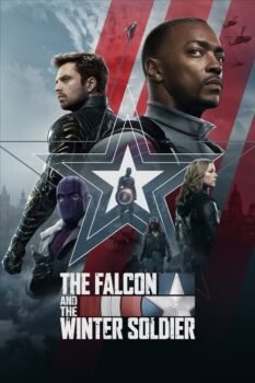 The falcon and the winter soldier